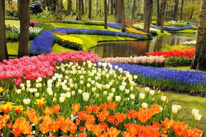 Guesthouse At The Amstel River With 2Br 2Ba And Garden أمستلفين المظهر الخارجي الصورة